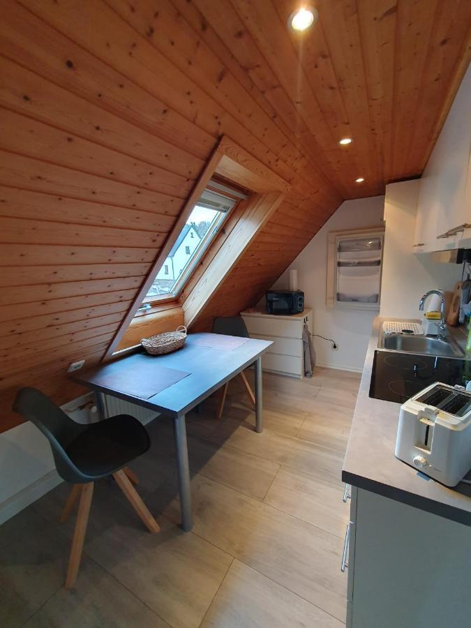 Ferienwohnung Haenel Antonshohe エクステリア 写真