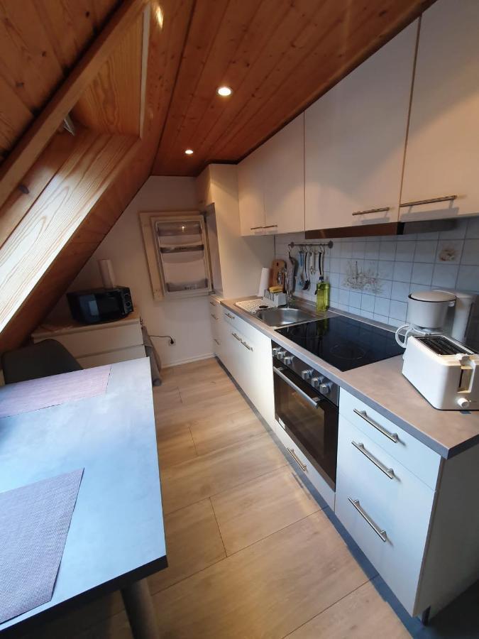 Ferienwohnung Haenel Antonshohe エクステリア 写真