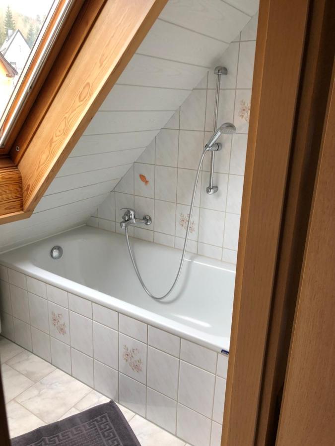 Ferienwohnung Haenel Antonshohe エクステリア 写真